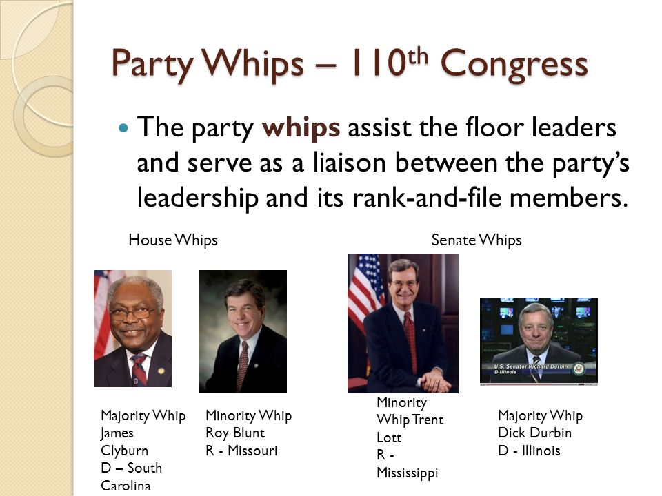 congressional whips serve what main function