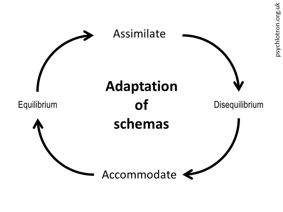 psychlotron.org.uk Adaptation of schemas Assimilate Accommodate DisequilibriumEquilibrium