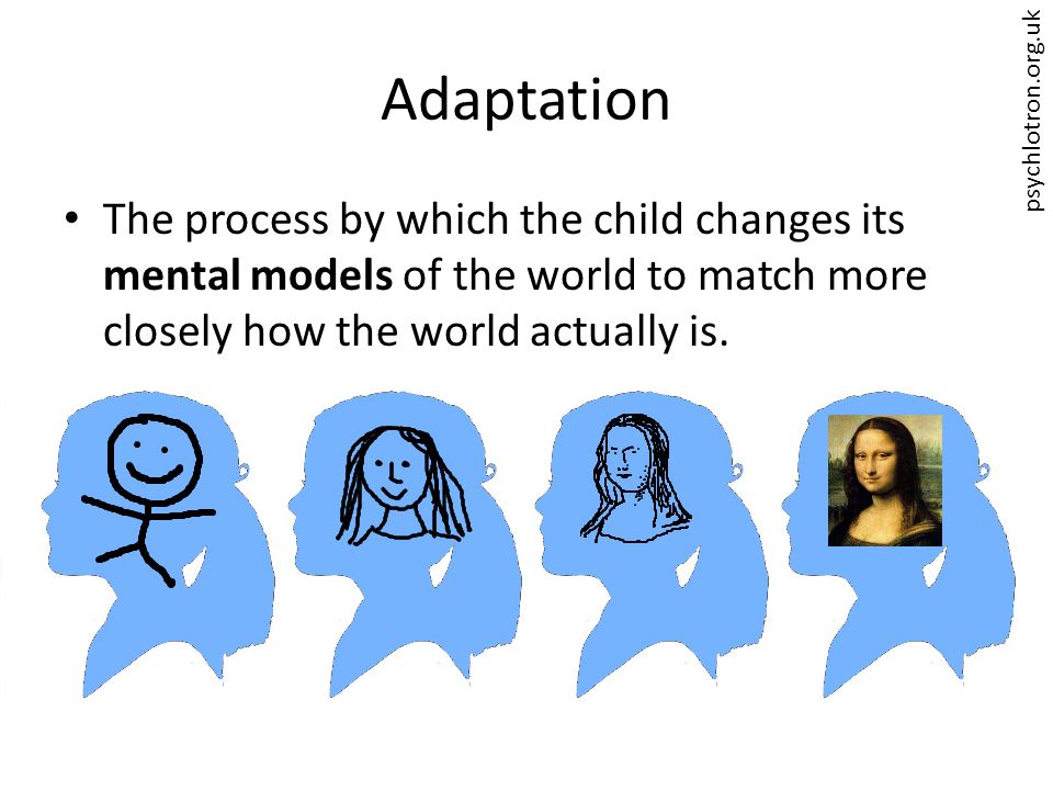psychlotron.org.uk Adaptation The process by which the child changes its mental models of the world to match more closely how the world actually is.