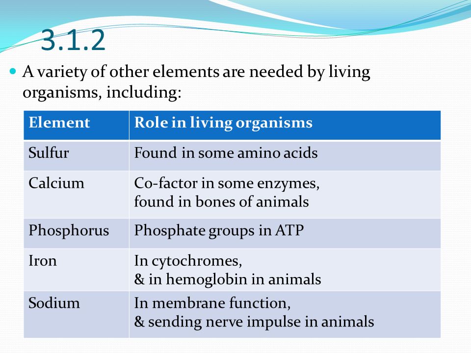 2 A Variety Of Other Elements Are Needed By Living Organisms 2 A Variety Of Other Elements Are Needed By Living Organisms
