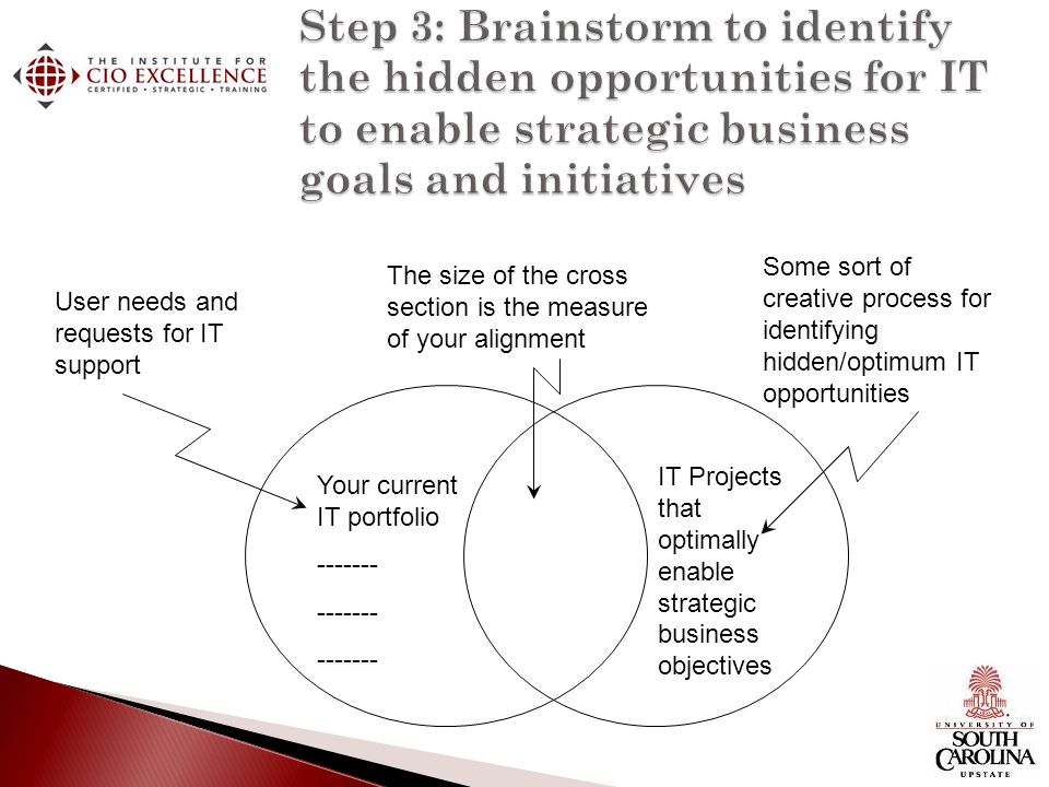 User needs and requests for IT support Your current IT portfolio Some sort of creative process for identifying hidden/optimum IT opportunities IT Projects that optimally enable strategic business objectives The size of the cross section is the measure of your alignment