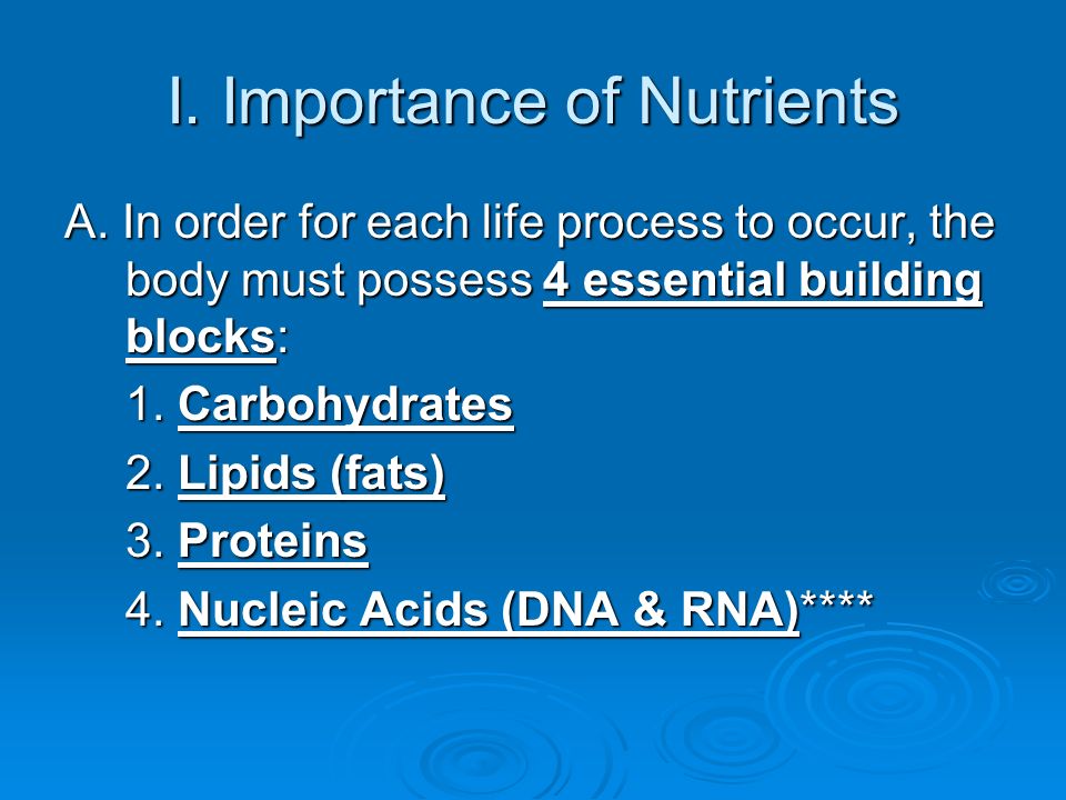 essential molecules for life