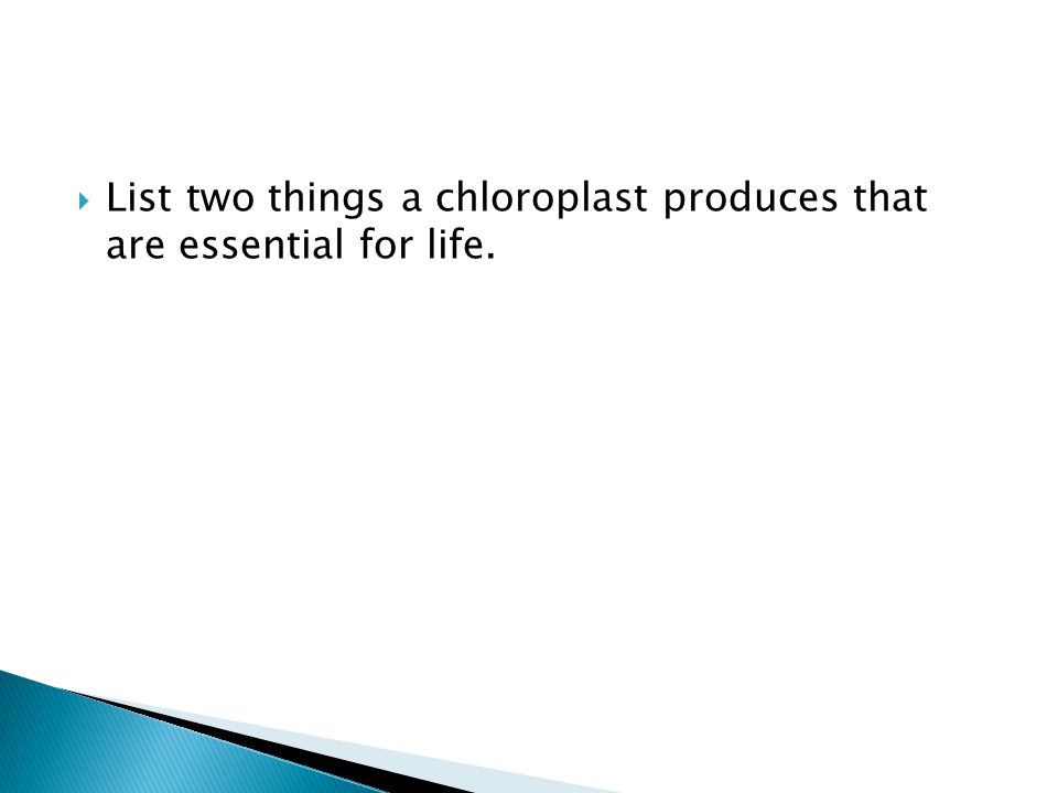  List two things a chloroplast produces that are essential for life.