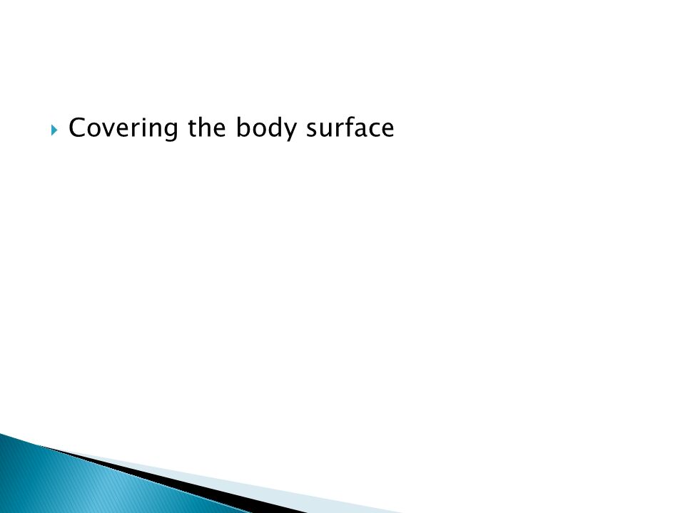  Covering the body surface