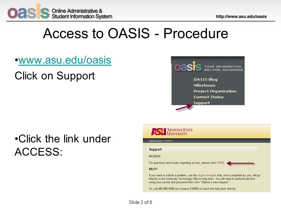 Access To Oasis Evelyn Pidgeon Oasis Security Administrator Ppt