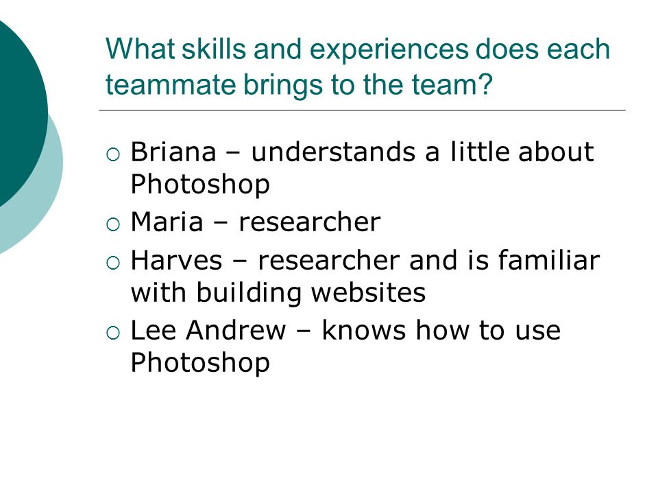 What skills and experiences does each teammate brings to the team.