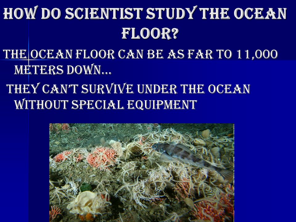 Exploring The Oceans The Ocean Floor By Tyler How Do Scientist
