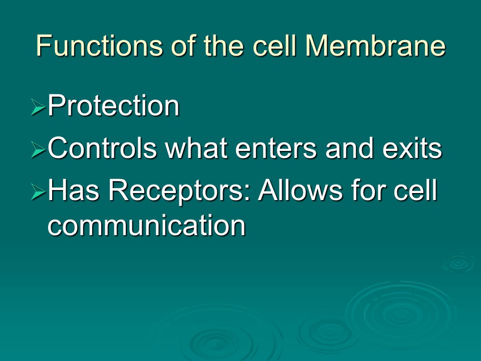 Functions of the cell Membrane  Protection  Controls what enters and exits  Has Receptors: Allows for cell communication