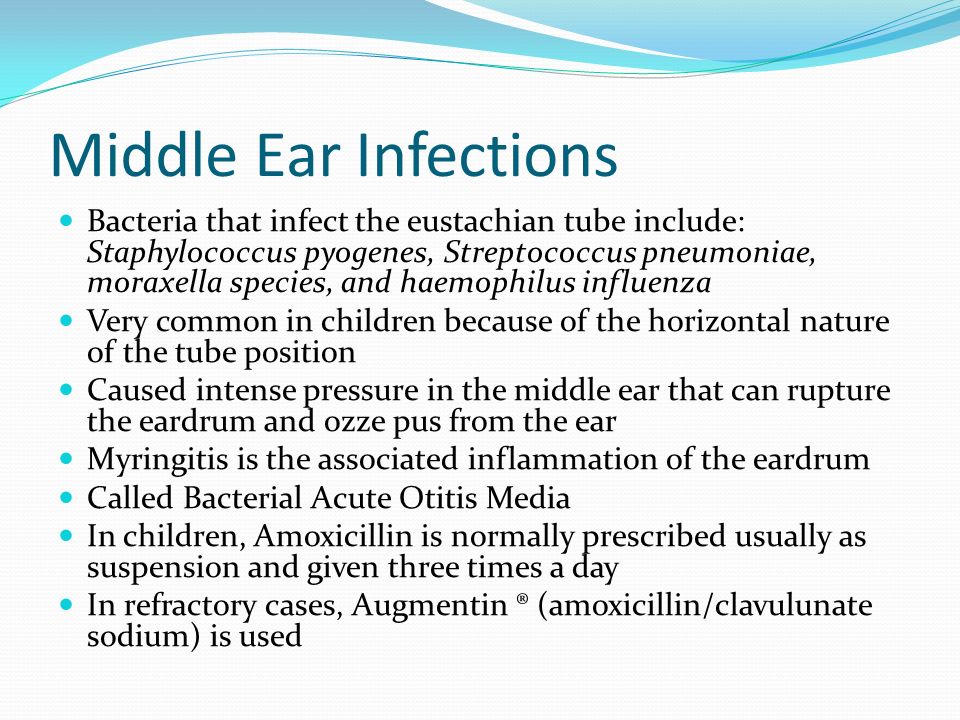 Middle Ear Infections Bacteria that infect the eustachian tube include: Staphylococcus pyogenes, Streptococcus pneumoniae, moraxella species, and haemophilus influenza Very common in children because of the horizontal nature of the tube position Caused intense pressure in the middle ear that can rupture the eardrum and ozze pus from the ear Myringitis is the associated inflammation of the eardrum Called Bacterial Acute Otitis Media In children, Amoxicillin is normally prescribed usually as suspension and given three times a day In refractory cases, Augmentin ® (amoxicillin/clavulunate sodium) is used