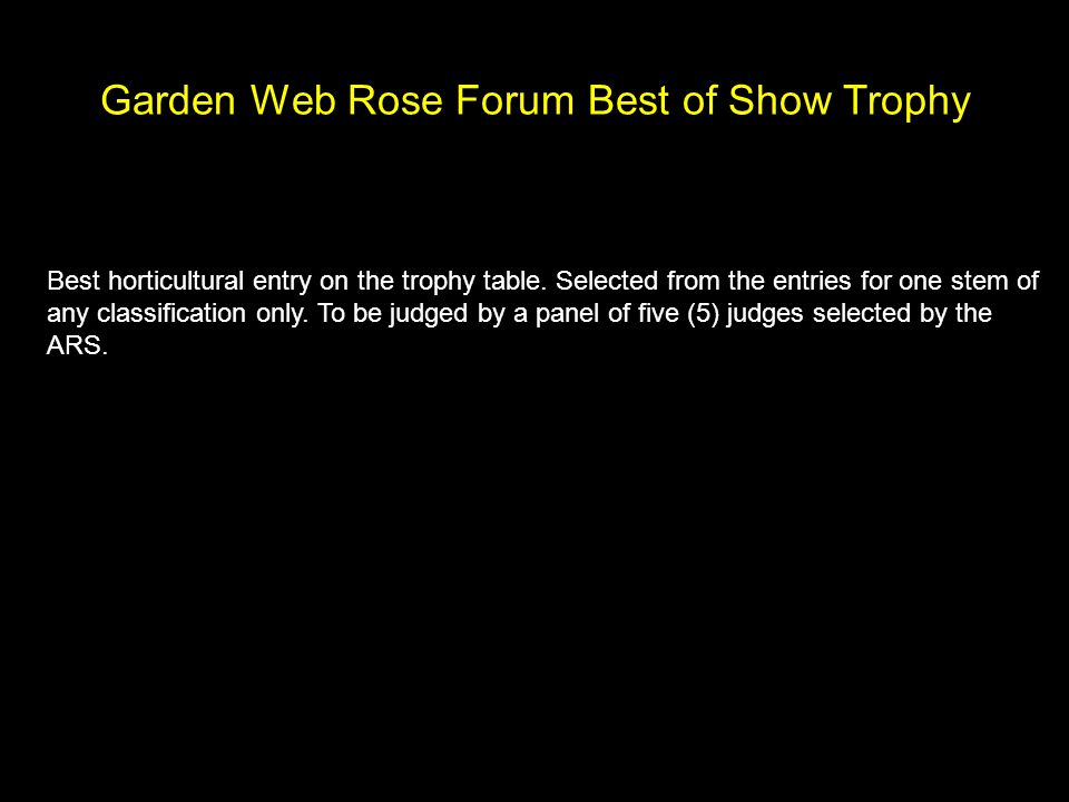 Horticulture Awards Queen Of Show Winner Moonstone By Erik Heden