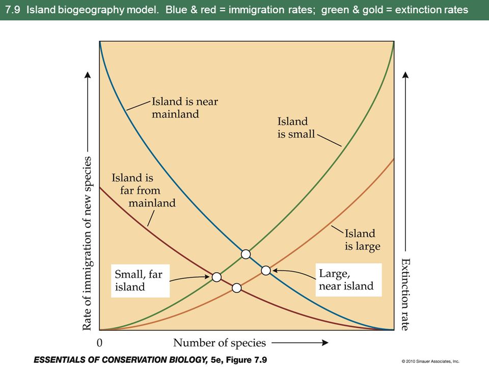7.9 Island biogeography model. Blue & red = immigration rates; green & gold = extinction rates
