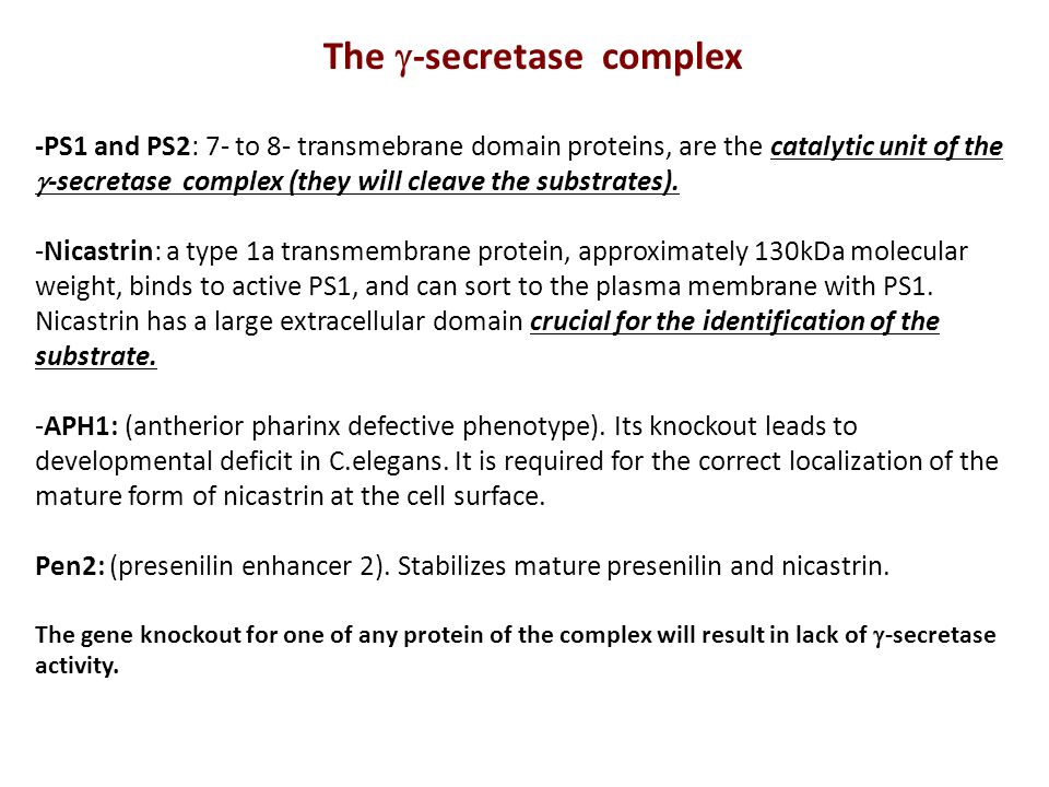 The  -secretase complex -PS1 and PS2: 7- to 8- transmebrane domain proteins, are the catalytic unit of the  -secretase complex (they will cleave the substrates).
