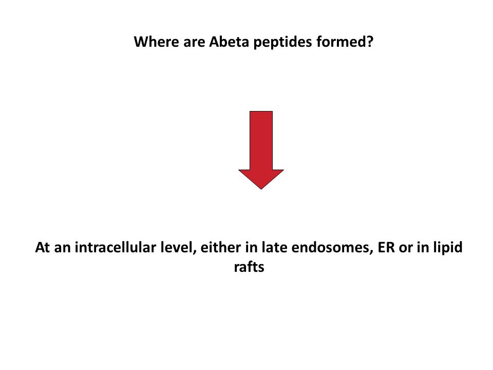 Where are Abeta peptides formed.