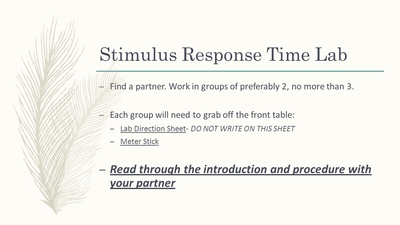 Stimulus Response Time Lab – Find a partner. Work in groups of preferably 2, no more than 3.