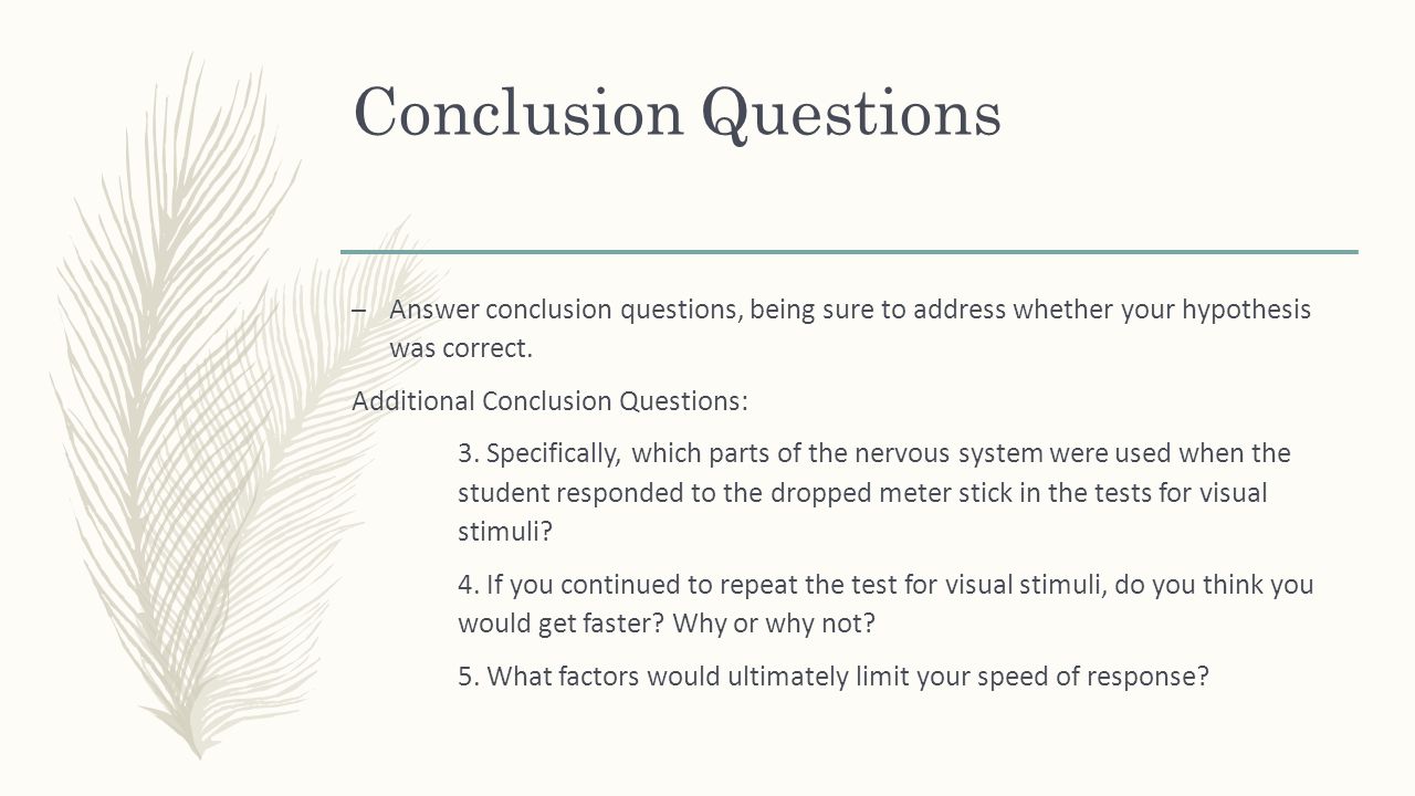 Conclusion Questions – Answer conclusion questions, being sure to address whether your hypothesis was correct.