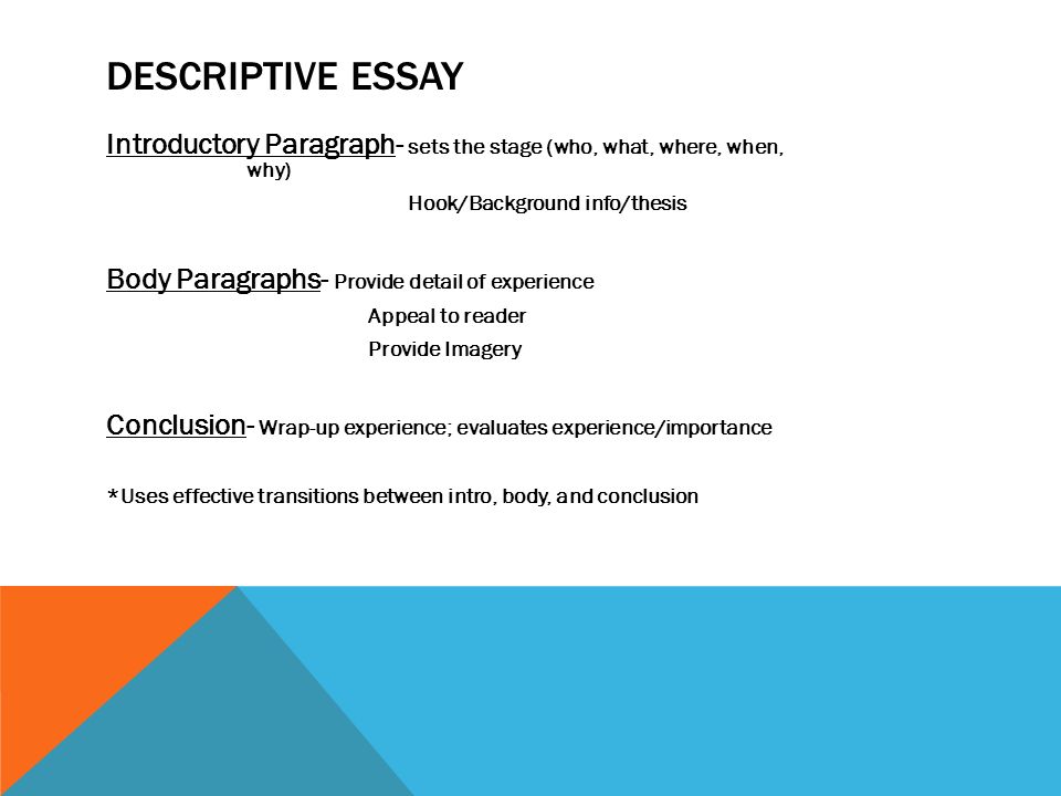 123 essay help me in my