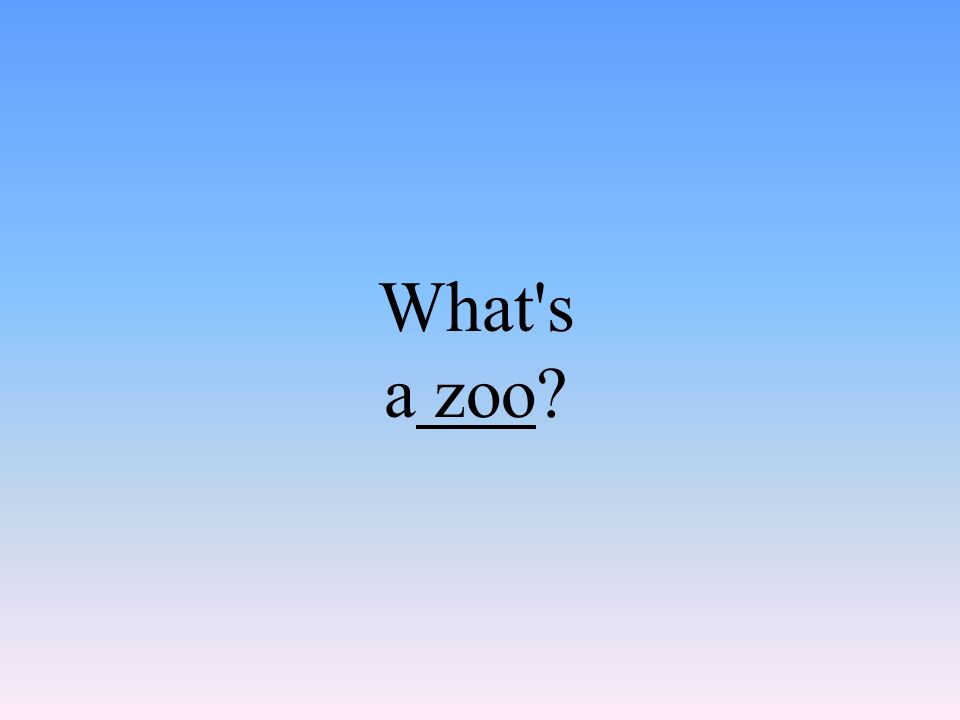 What s a zoo