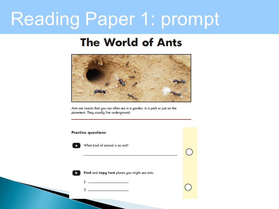Reading Paper 1: prompt answer booklet