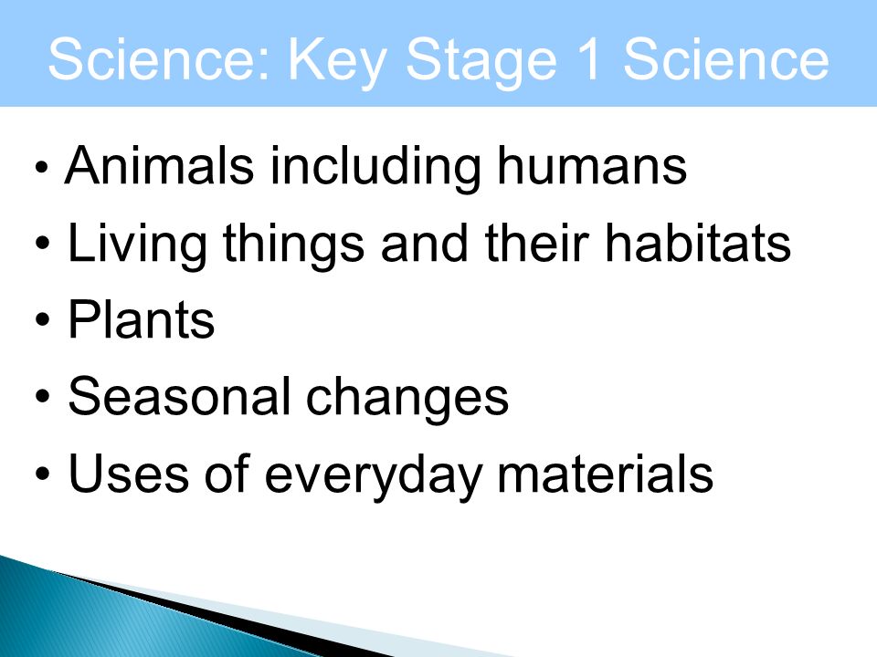 Science: Key Stage 1 Science Units Animals including humans Living things and their habitats Plants Seasonal changes Uses of everyday materials