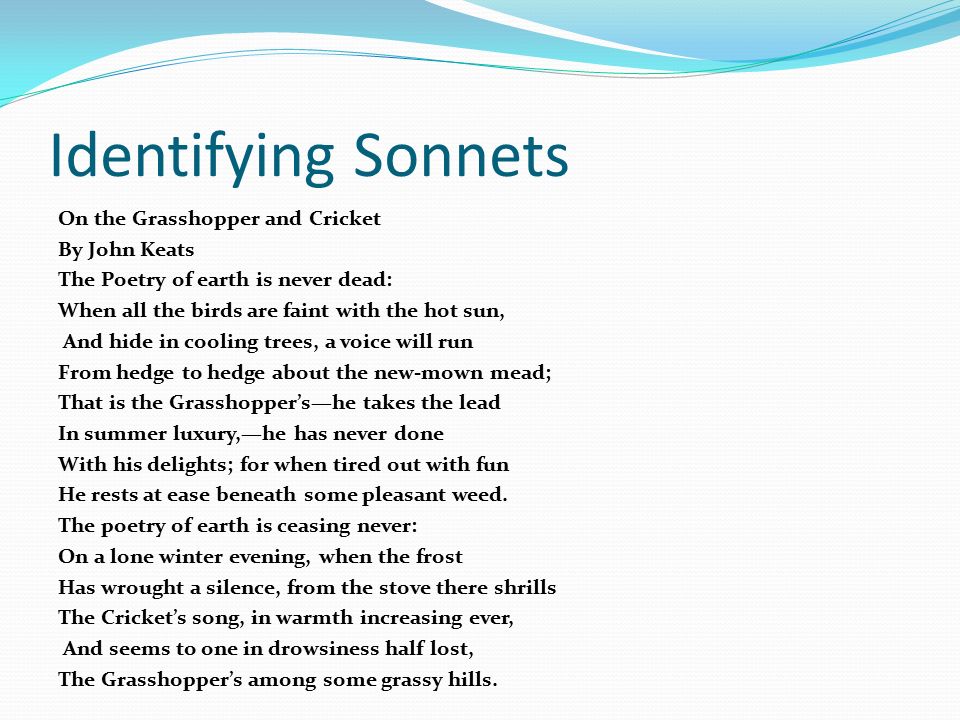 How many lines does a sonnet have nanaxaussie