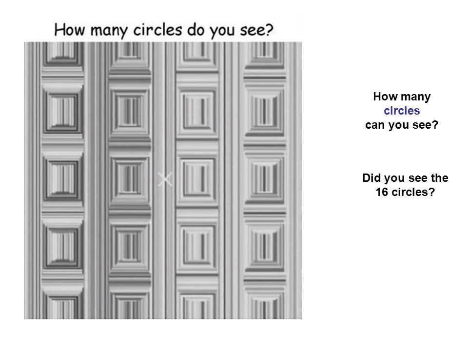 Сколько кругов игра. Сколько кругов видите на картинке. Оптическая иллюзия 16 кругов. Сколько кругов на картинке с ответами. Сколько здесь кругов.