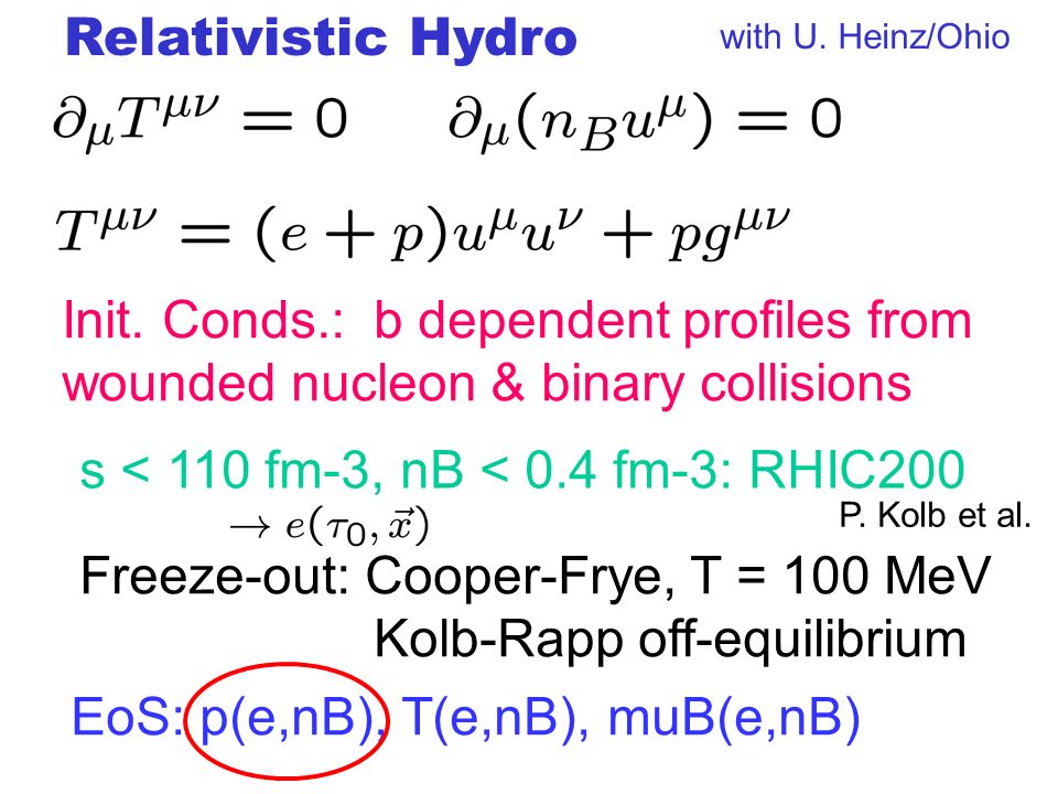 Relativistic Hydro Init.