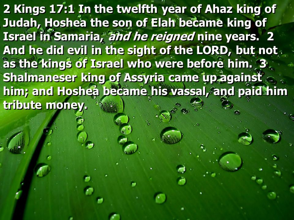 2 Kings Kings 171 In The Twelfth Year Of Ahaz King Of Judah