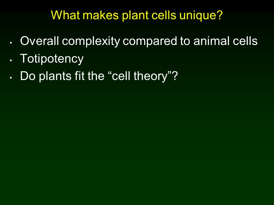 How do plant cells differ from animal cells? How are they similar? - ppt  download