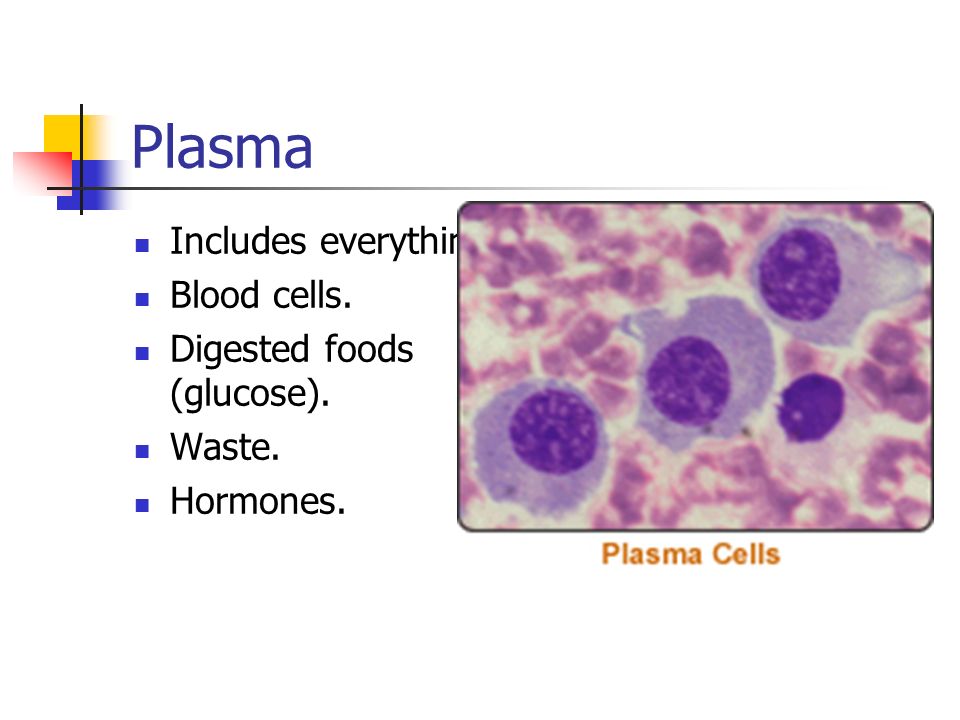 Plasma Includes everything. Blood cells. Digested foods (glucose). Waste. Hormones.