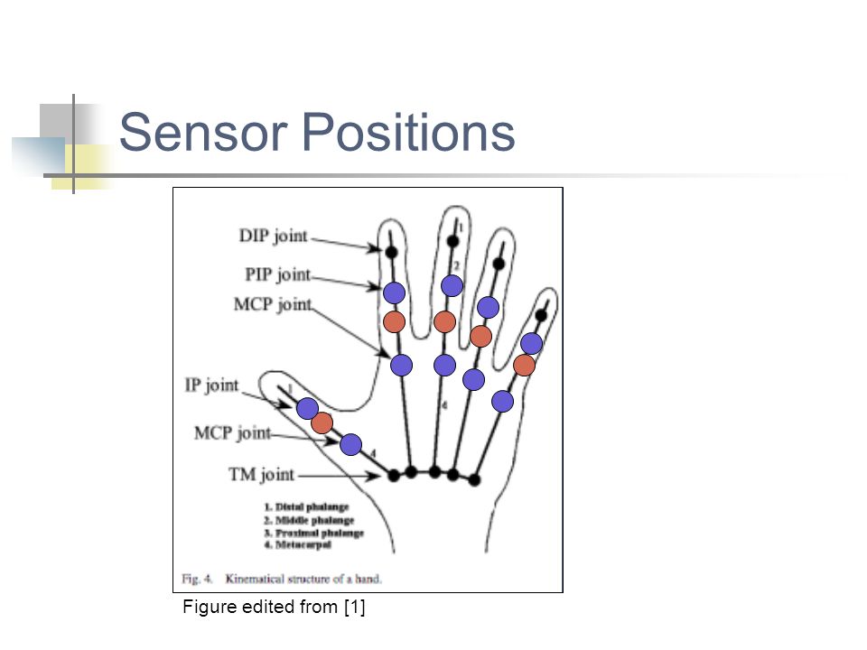 Sensor Positions Figure edited from [1]