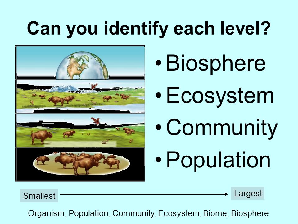 BIOSPHERE The part of Earth where life exists, including land, water & atmosphere