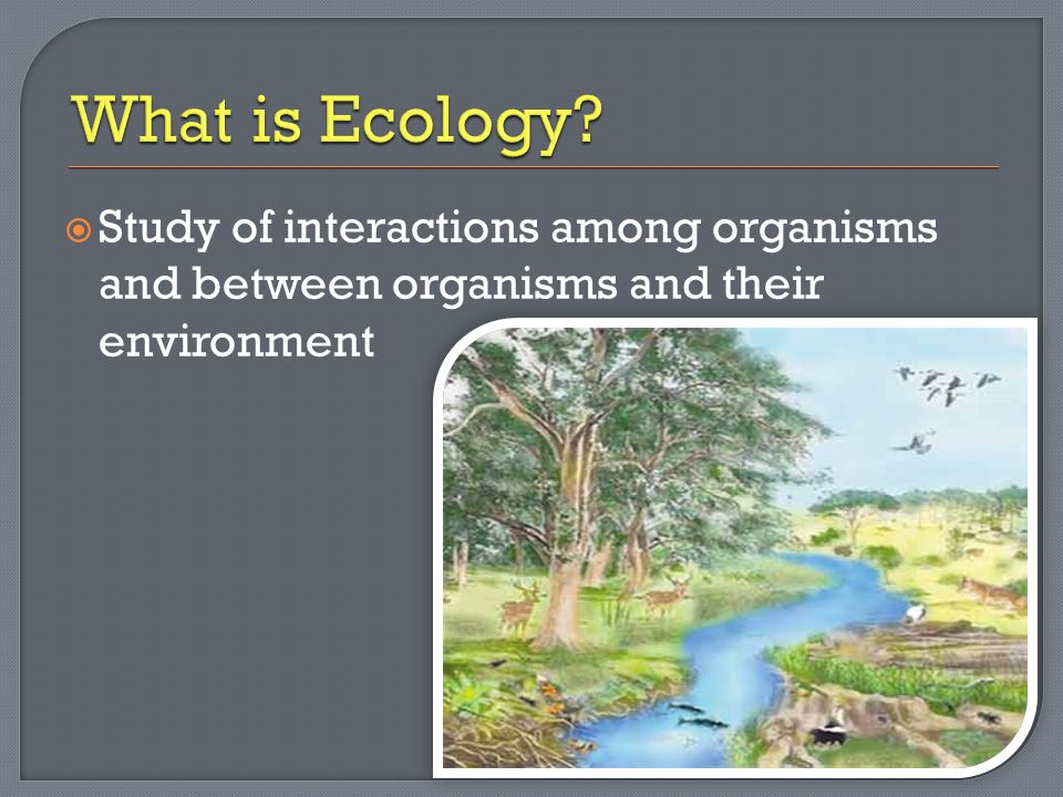  Study of interactions among organisms and between organisms and their environment