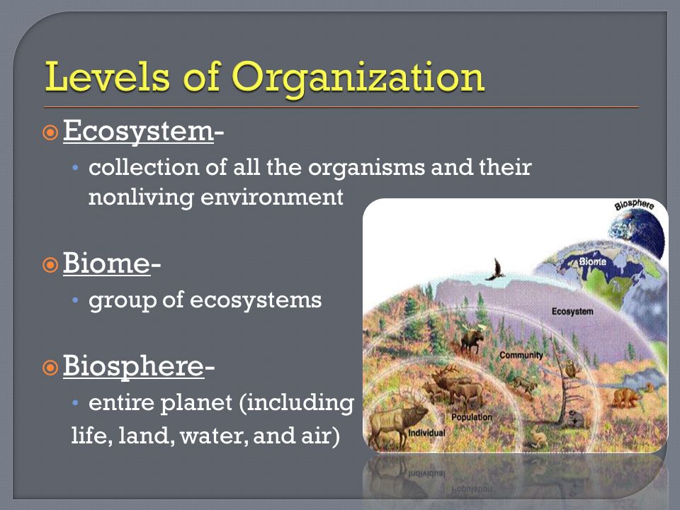  Ecosystem- collection of all the organisms and their nonliving environment  Biome- group of ecosystems  Biosphere- entire planet (including life, land, water, and air)