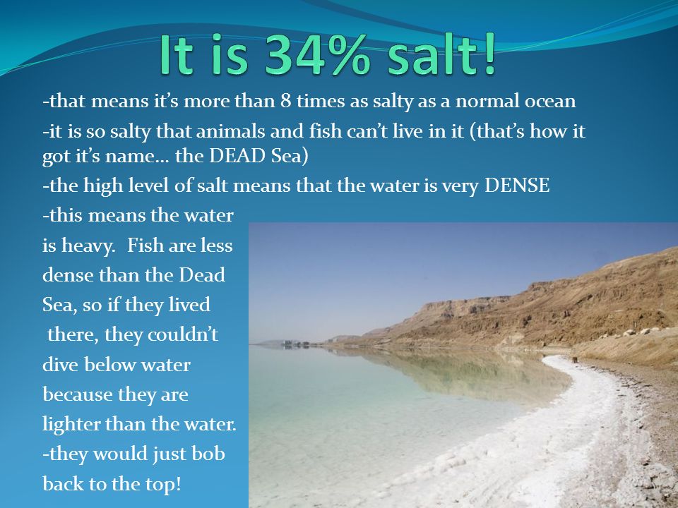 But there is an exception… -The Dead Sea is located in between Jordan and  Israel -It is the lowest place on earth: almost a mile below sea level. -  ppt download
