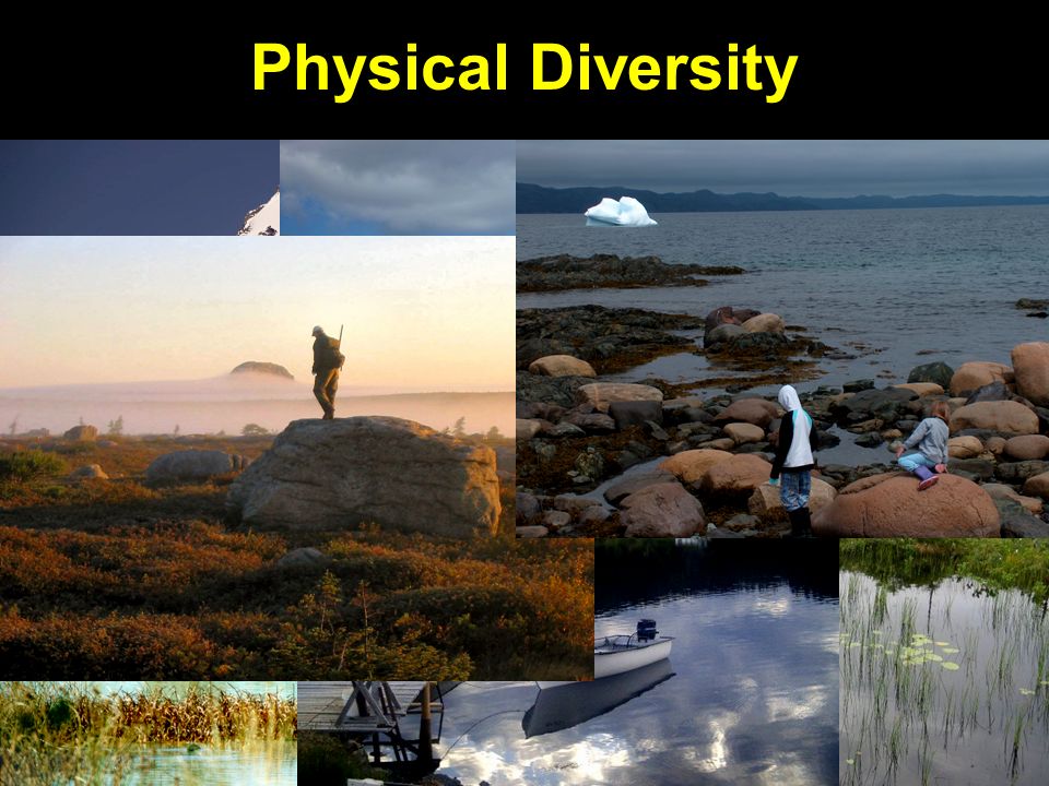 physical diversity