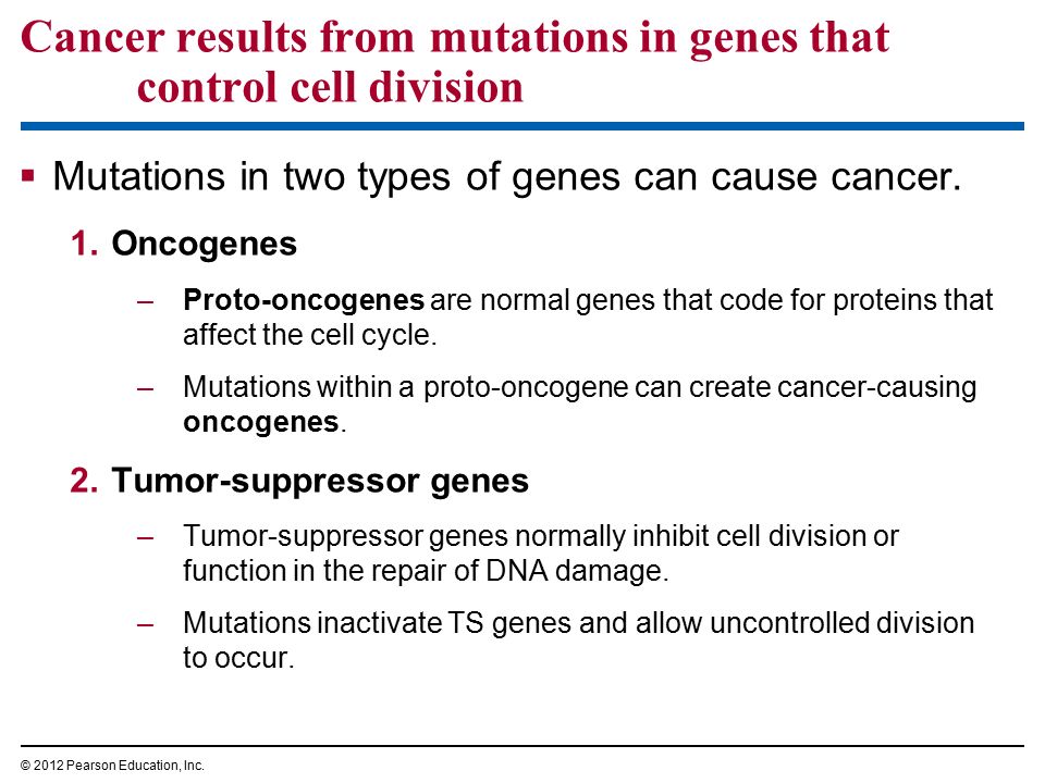 Cancer results from mutations in genes that control cell division  Mutations in two types of genes can cause cancer.