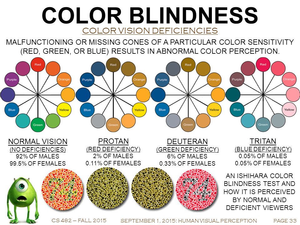 Computer Graphics Cs 4 Fall 15 September 1 15 Human Visual Perception Eye Physiology Color Blindness Constancy Shadows Parallax Stereoscopy Ppt Download