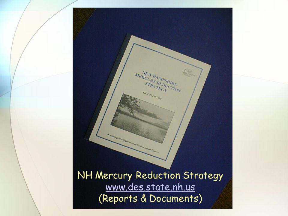 NH Mercury Reduction Strategy   (Reports & Documents)