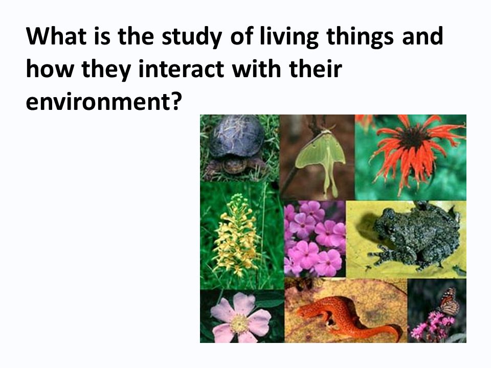 What is the study of living things and how they interact with their environment