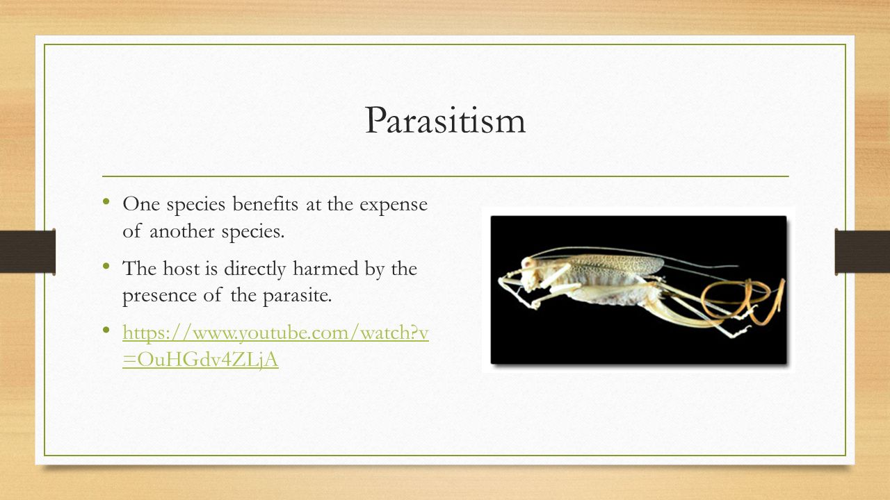 Parasitism One species benefits at the expense of another species.