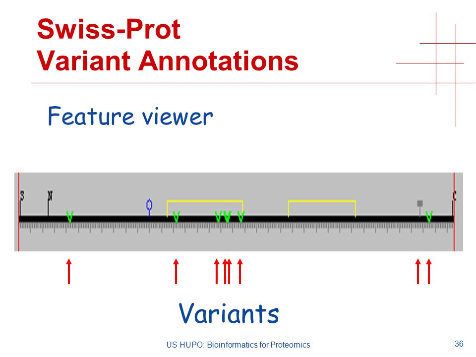 36 US HUPO: Bioinformatics for Proteomics Swiss-Prot Variant Annotations Feature viewer Variants