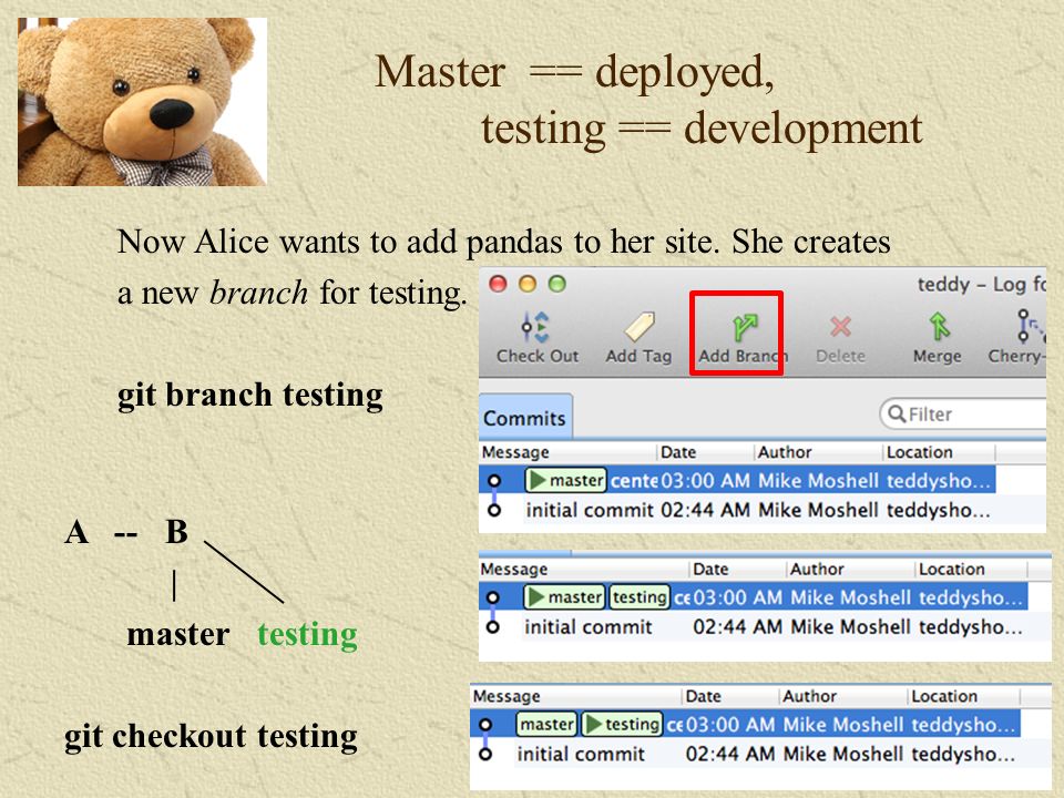-9 - Master == deployed, testing == development Now Alice wants to add pandas to her site.