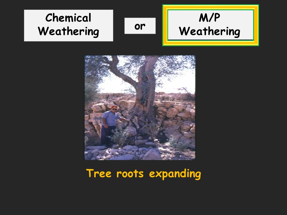 Tree roots expanding Chemical Weathering M/P Weathering or