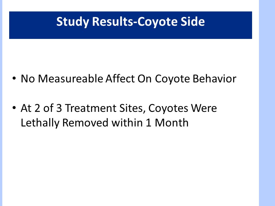 Study Results-Coyote Side No Measureable Affect On Coyote Behavior At 2 of 3 Treatment Sites, Coyotes Were Lethally Removed within 1 Month
