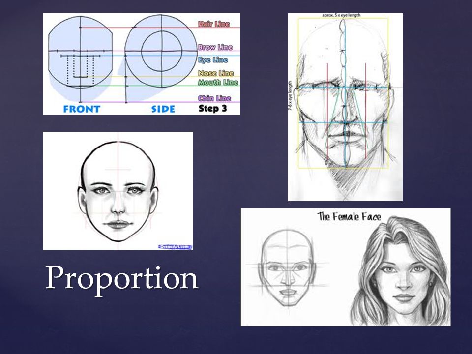 { Human Proportion: Faces and Figures Ebony Pencil. - ppt download