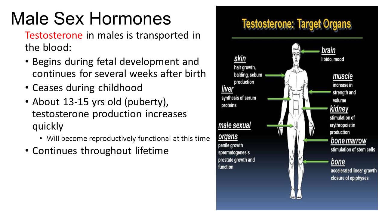 sex hormones in growth Spuff uk porn