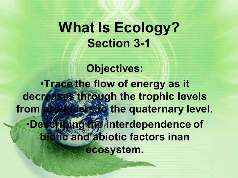 What Is Ecology.
