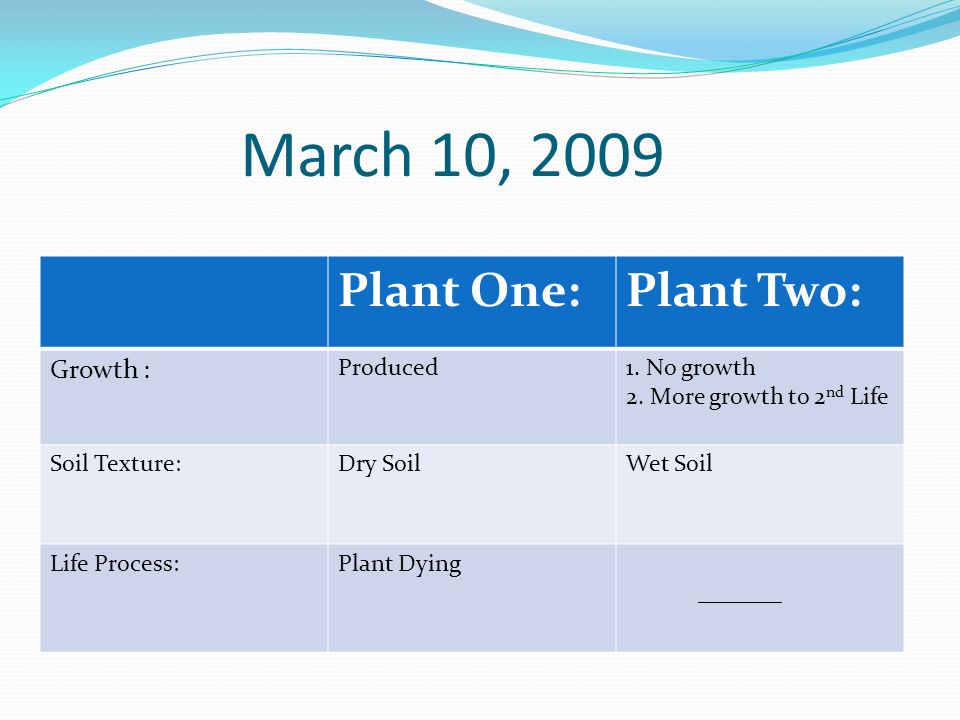 March 10, 2009 Plant One:Plant Two: Growth : Produced1.