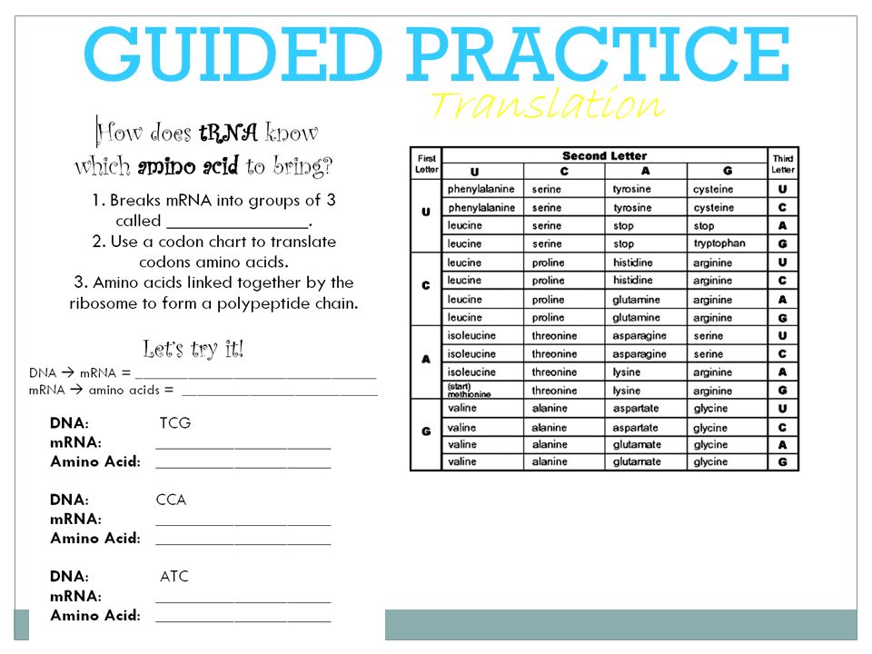 Do Now Write The Questions And Answer 1 Gallery Walk Ppt Download