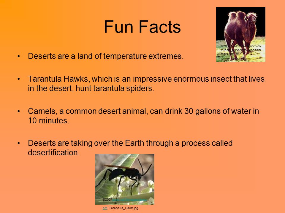 Deserts Cathy O'Brien Period 2 Ms. O'Brien. What is a Desert? Deserts occur  where rainfall is less than 25 cm/year, that is only 10 inches! Deserts  can. - ppt download